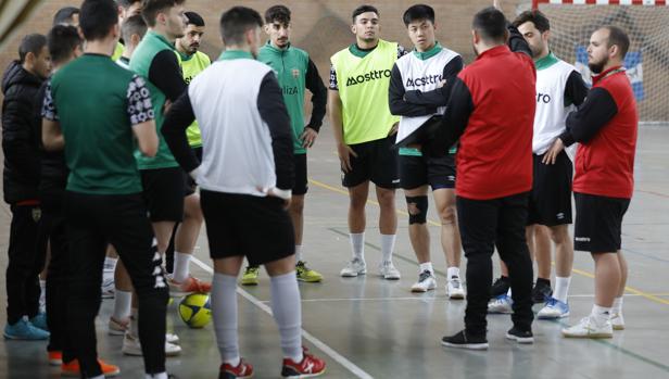 El Córdoba Patrimonio, «libre» de contagios de coronavirus