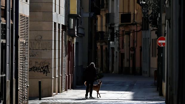 Baena, Doña Mencía y Montilla limitan también las horas y los sitios de los paseos a los perros