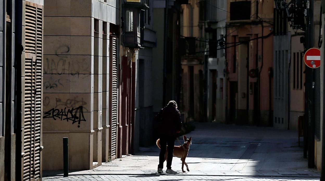 Un perro, con su dueño en la calle