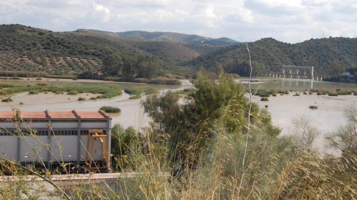 Estado actual del embalse de Cordobilla, en Puente Genil