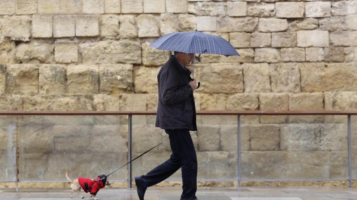 Un hombre pasea su mascota por Córdoba durante un día de lluvia