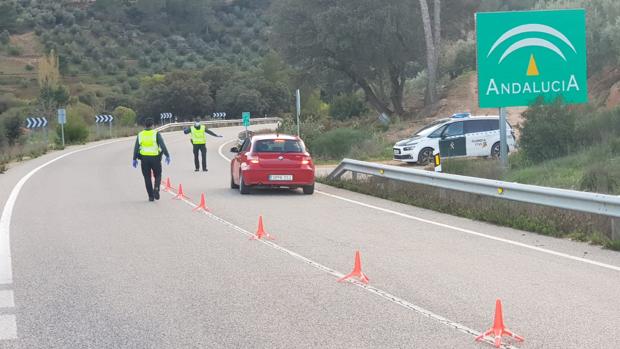 Sancionadas más de 5.000 personas en Jaén por incumplir el decreto del estado de alarma