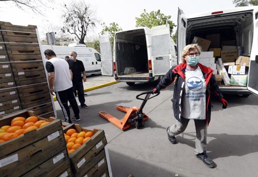 Una voluntaria del Banco de Alimentos