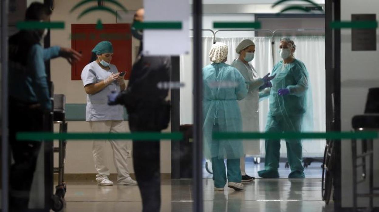 Personal sanitario en el interior del hospital Reina Sofía durante la crisis del coronavirus