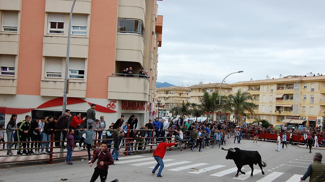 Imagen de archivo del «Toro Embolao» de Los Barrios