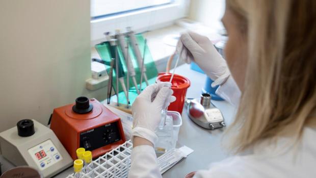 Andalucía ya estudia cómo actuar si hay un segundo brote de coronavirus en otoño