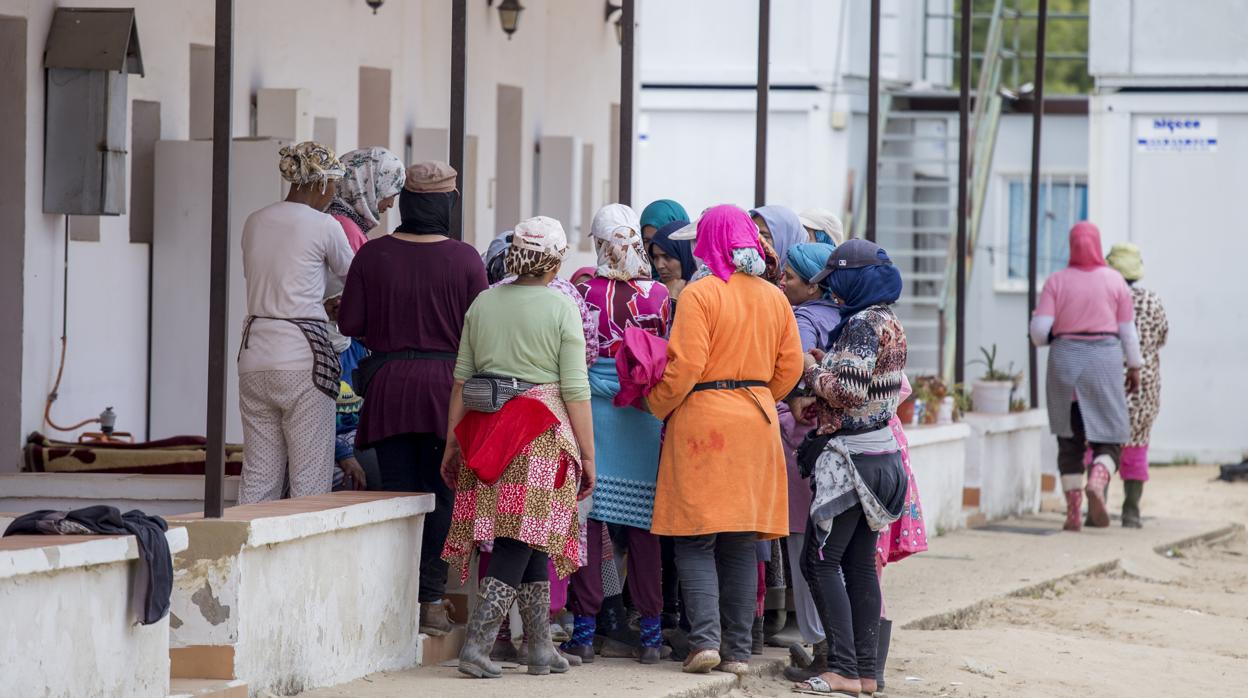 Un grupo de trabajadoras de Marruecos en una finca agrícola de Huelva