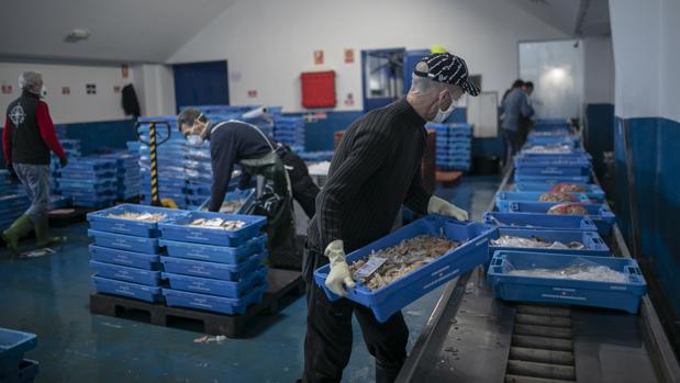 Los pescadores andaluces garantizan el abastecimiento durante el coronavirus