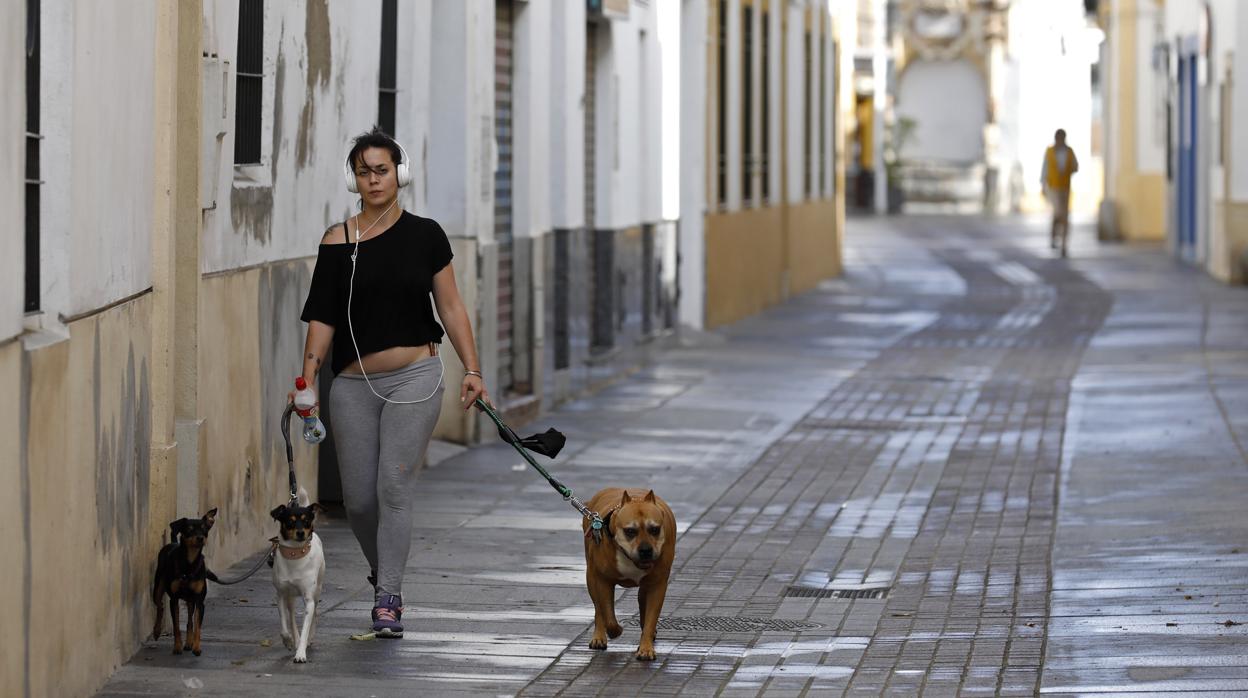 Los vecinos del barrio solo salen de casa para pasear al perro