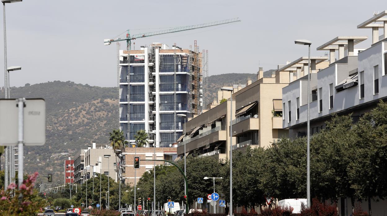 La obra nueva ha caido en el mes de marzo debido al coronavirus