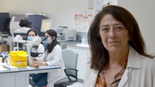 Concepción Herrera, jefa de la Unidad de Hematología del Reina Sofía