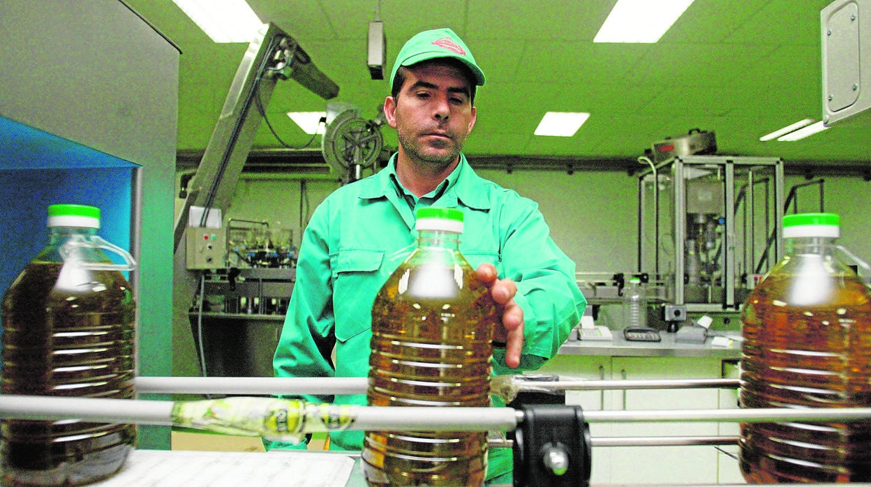 Planta de envasado de aceite de oliva de Córdoba