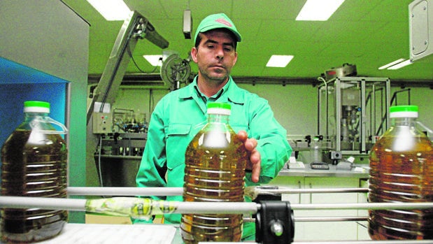 El consumo de aceite de oliva se dispara un 19 por ciento por la crisis sanitaria del Covid-19