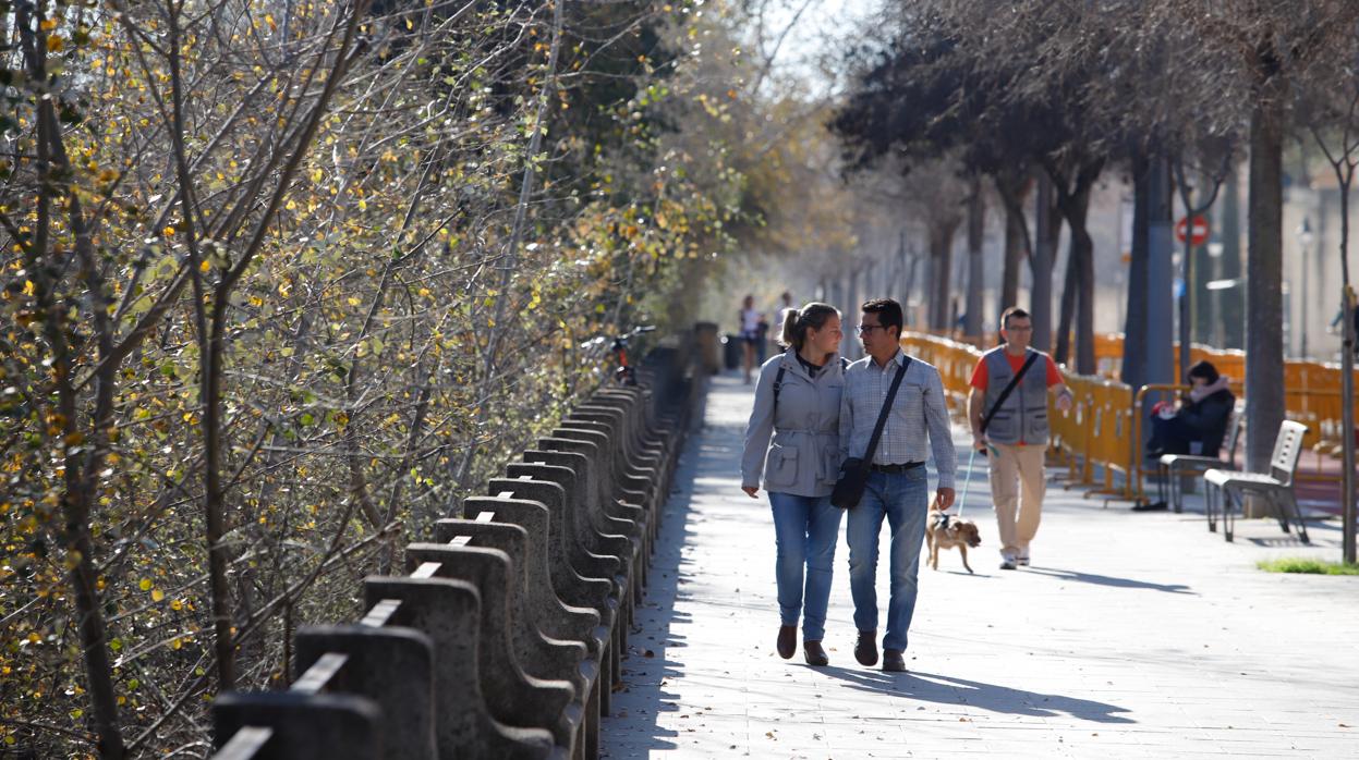 Paseantes en la Ribera de Córdoba antes del confinamiento