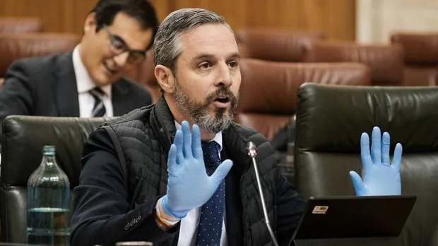 Seis auditoras privadas revisarán la utilidad de 54 entes de la «administración paralela» de la Junta de Andalucía
