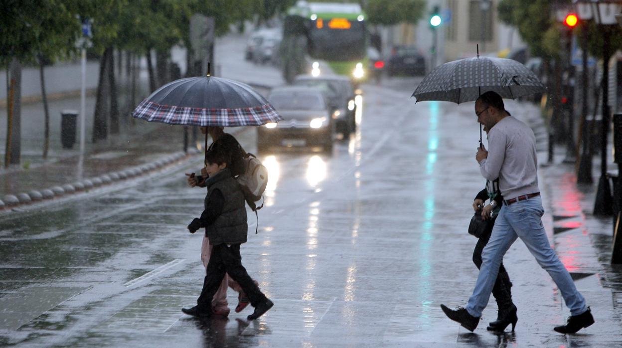 Varias personas cruzan por la Ribera, en un día de lluvia y paraguas en Córdoba