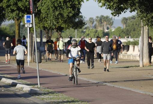 Deportistas por la avenida de Fray Ablino en Córdoba