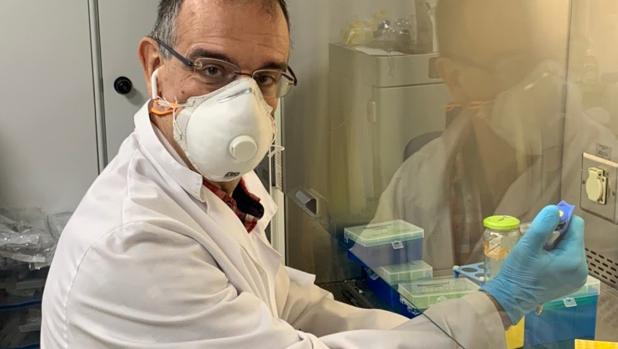 «Cada persona podrá detectar el virus del coronavirus en su propio domicilio y enviar los datos por el móvil»