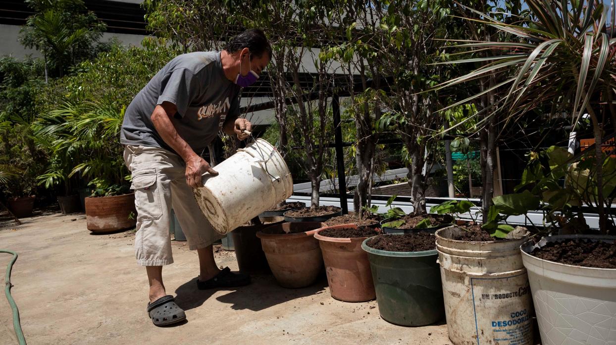 Imagen de un trabajador con mascarilla en un vivero