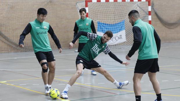 El Córdoba Patrimonio perfila una próxima temporada en Primera con más ambición