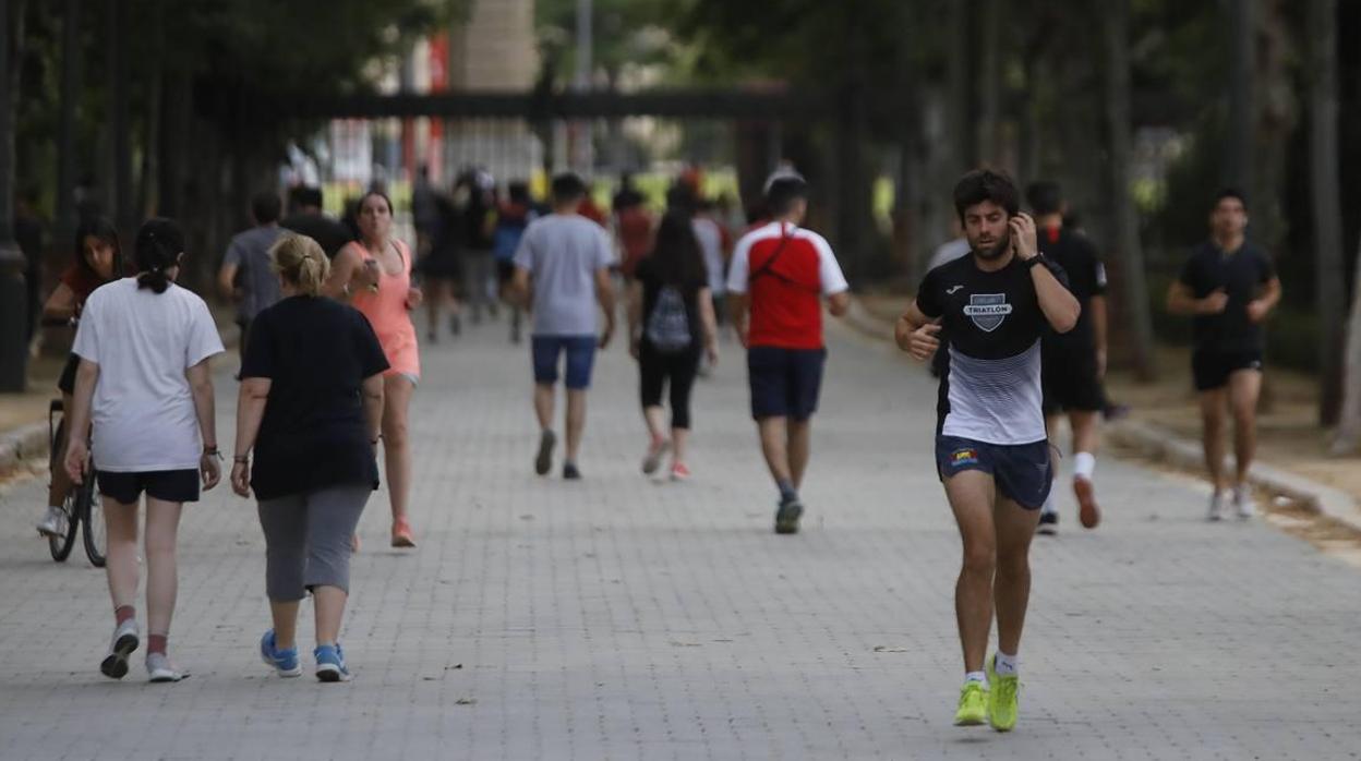 Deportistas en el parque de María Luisa de Sevilla