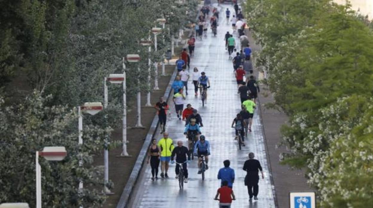 Sevillanos haciendo deporte junto al río