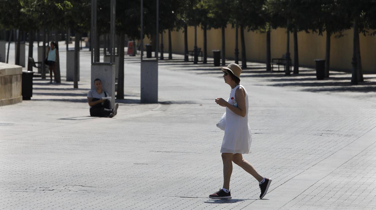 Una mujer pasea por la zona monumental