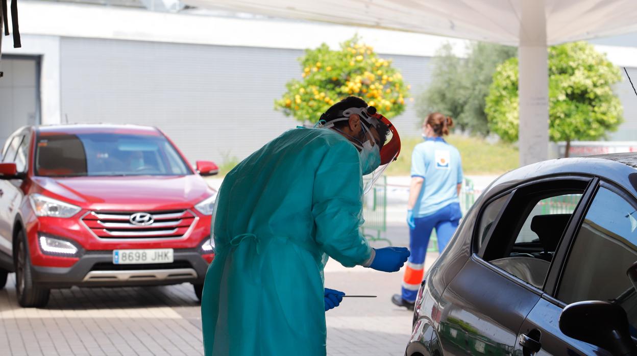 Un sanitario realiza un test a un conductor en la carpa instalada por la UME en la plaza de las Setas de Córdoba