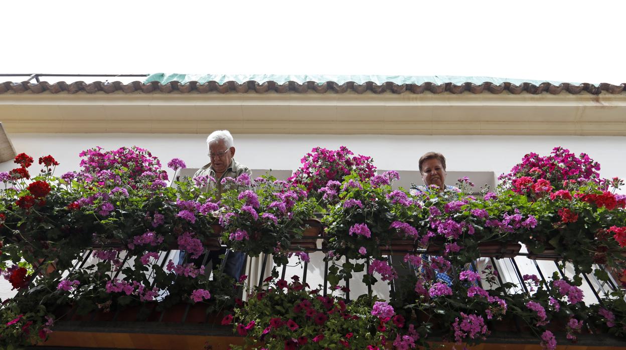 Participantes en el concurso de rejas y balcones