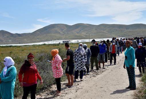 Cientos de inmigrantes guardan cola para ser atendidos por voluntarios de la Cruz Roja en un asentamiento de Níjar