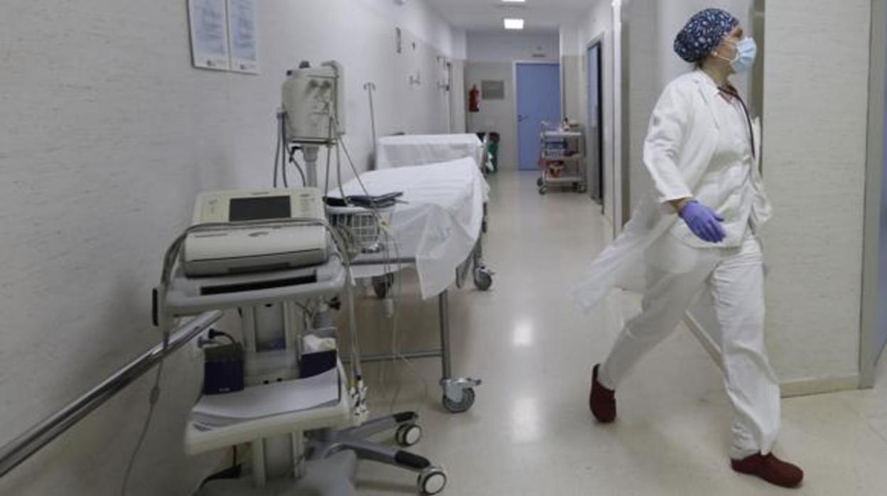 Personal sanitario en el pasillo de un hospital de Córdoba