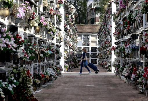 Una mujer con un carrito de la compra en el cementerio de San Rafael