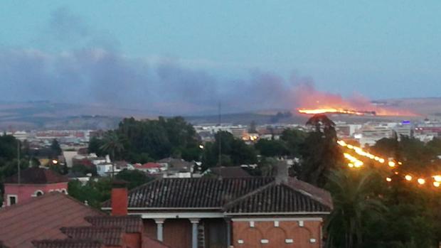 Extinguidos los dos incendios de anoche en Córdoba tras quemar 25 hectáreas de trigo y pastos