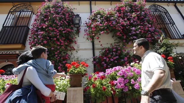 El Concurso de Rejas y Balcones de Córdoba arranca hoy lunes con un total de 28 participantes