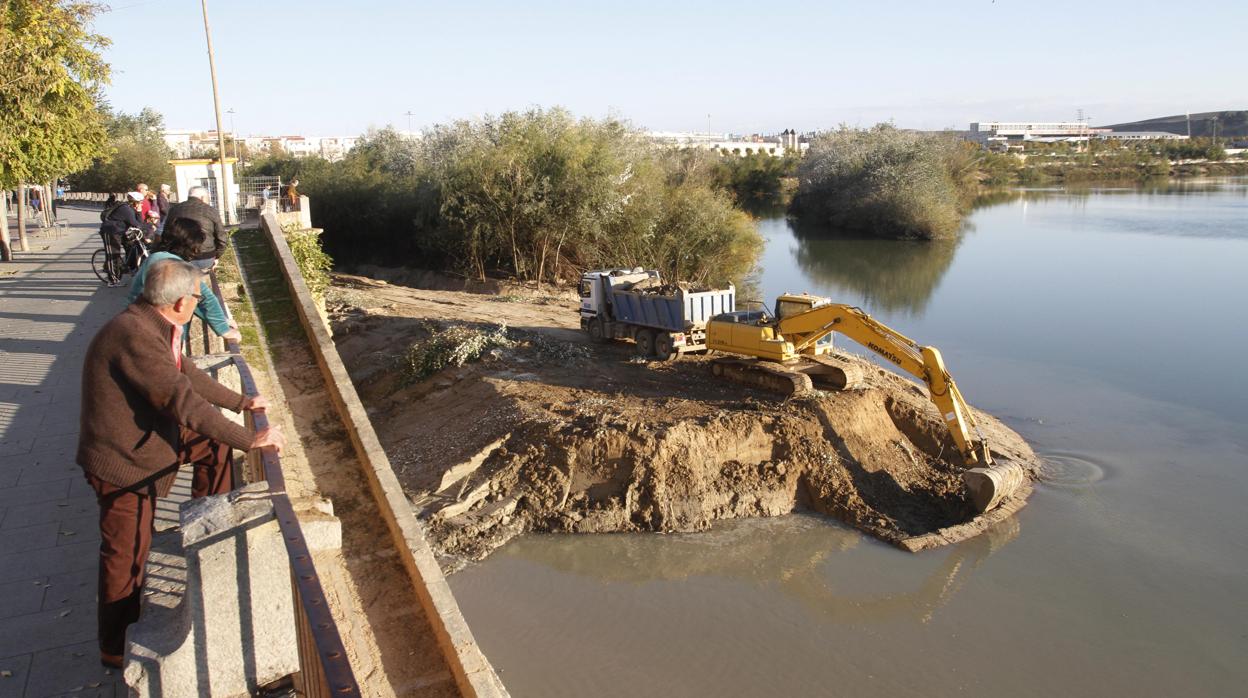 Trabajos de limpieza del río en noviembre de 2013 ejecutados por la Confederación