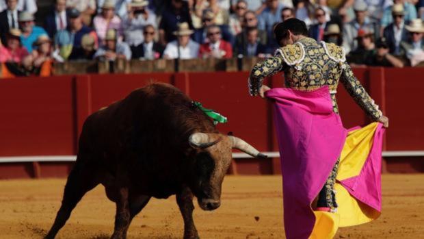 Las corridas de toros vuelven a Andalucía desde este lunes próximo con el 50% de aforo