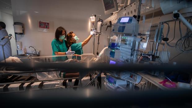 Ninguna provincia de Andalucía tiene ya más de 3 pacientes con coronavirus en UCI