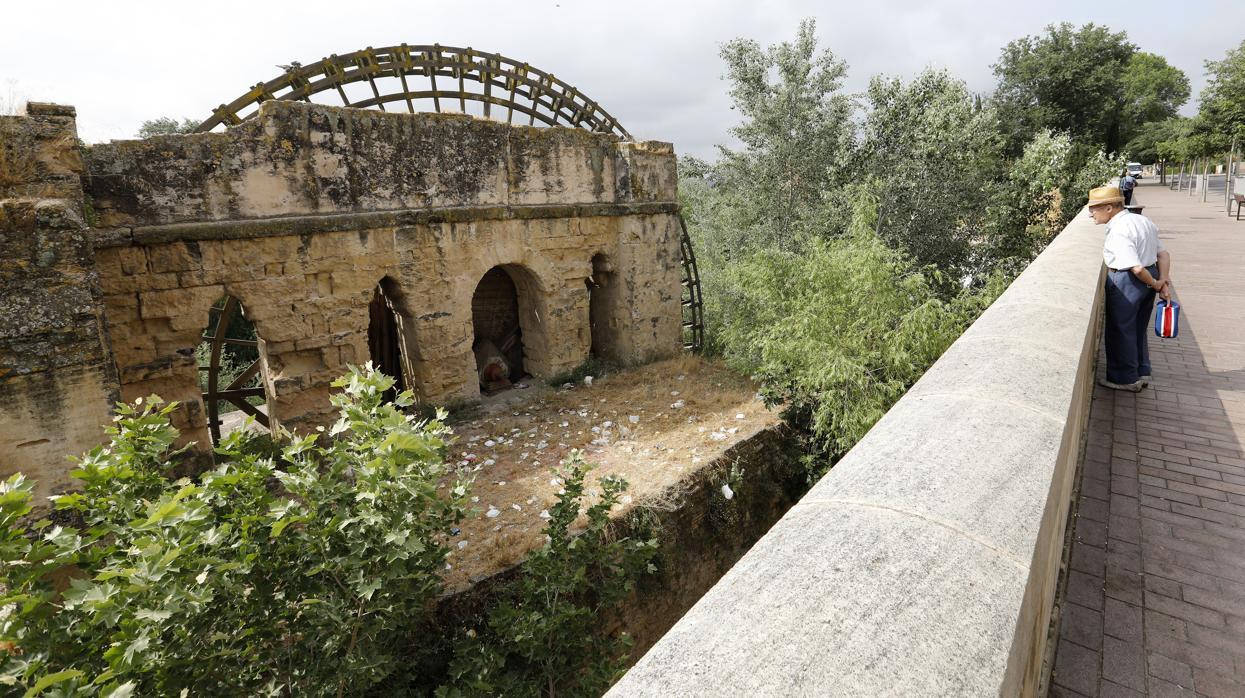 Un hombre observa el Molino y la Noria de la Albolafia