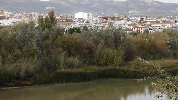 Encuesta sobre la limpieza del río en Córdoba | El 90% de los participantes cree que es totalmente necesaria