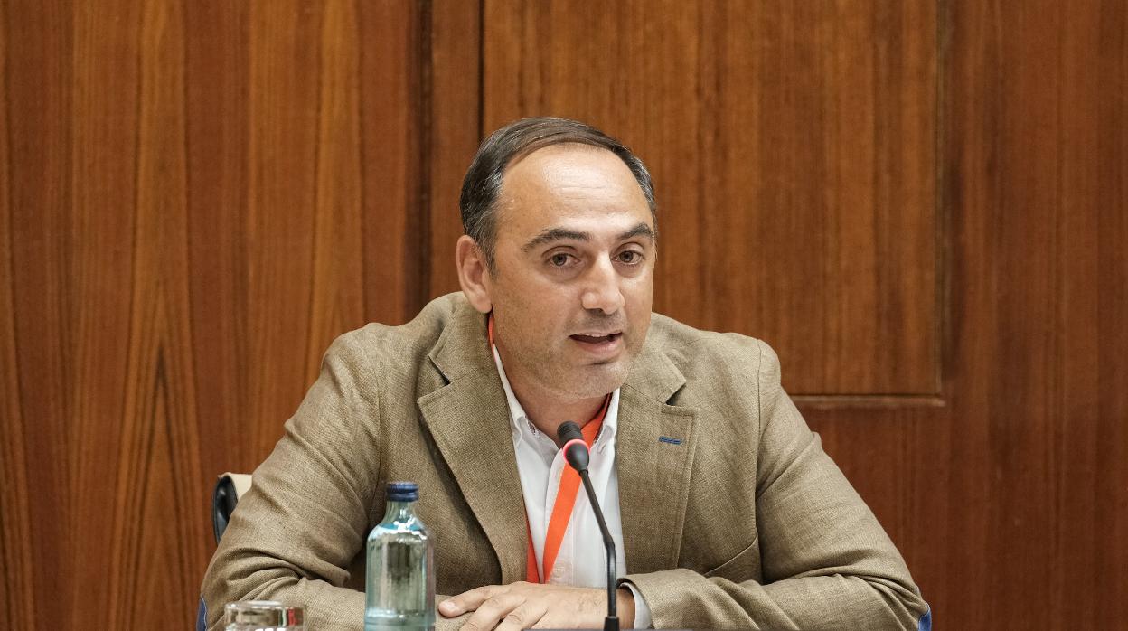 Fernando Acosta, durante su intervención en la subcomisión de Asuntos Sociales