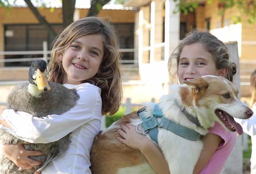 Vacaciones escolares | Talleres, campamentos y cursos en Córdoba para niños este verano