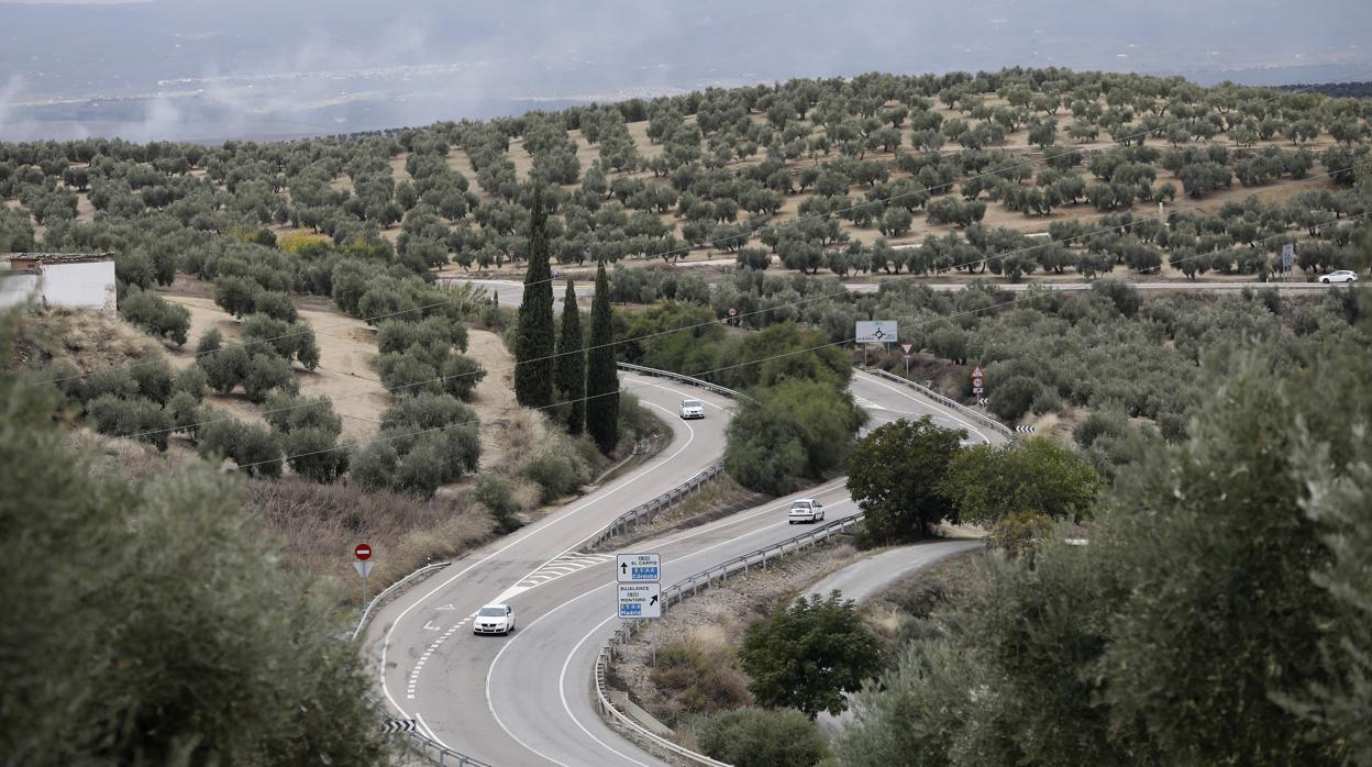 Carretera A-306, entre el Carpio y Torredonjimeno