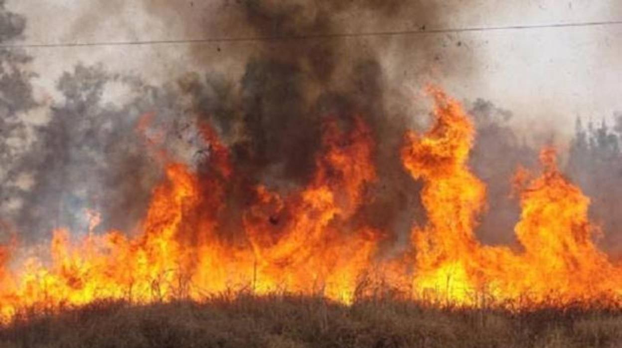 Imagen de archivo de un incendio forestal