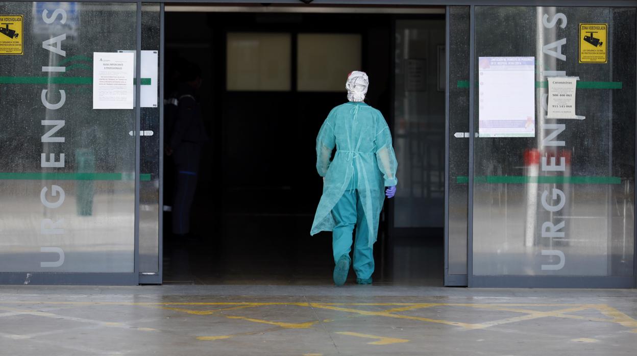 Un profesional sanitario, en la puerta de Urgencias del Reina Sofía