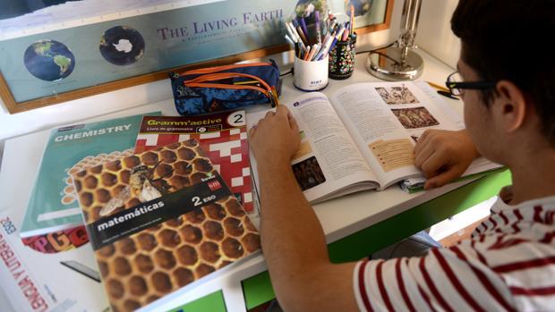 Las familias de Andalucía pueden descargar el cheque libro a través de una aplicación móvil