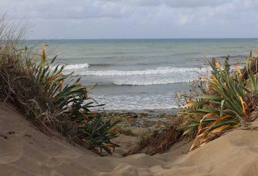 Las dunas fósiles son una de las particularidades de esta playa