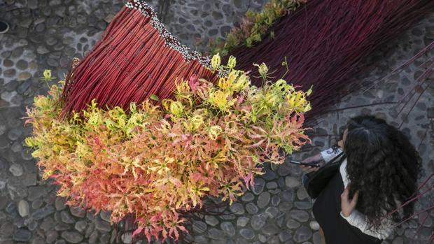 Cancelan el festival Flora de este año por la crisis sanitaria del Covid-19