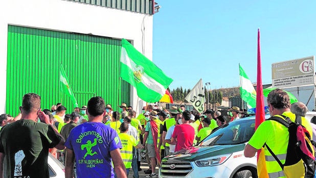 Olivareros protestan en Baena por el «engaño» de importar aceites y venderlos como producto nacional