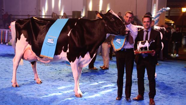 Dos Torres celebrará en otoño la primera feria virtual de ganado