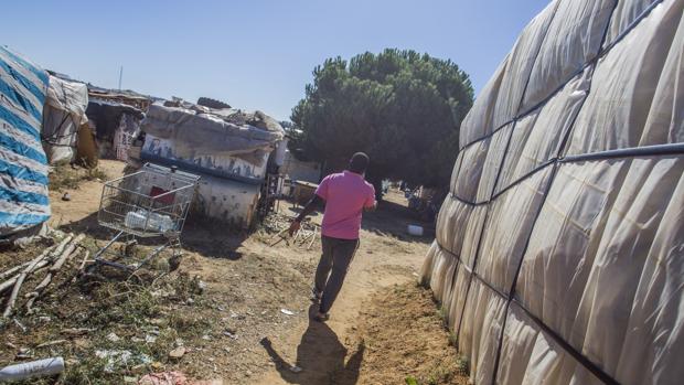 Un incendio obliga a desalojar un asentamiento de inmigrantes en Lepe y causa dos heridos